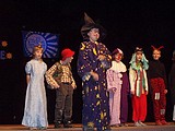 Obrázek v galerii