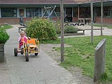 Obrázek v galerii