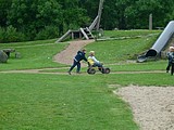 Obrázek v galerii