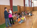 Obrázek v galerii