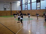 Obrázek v galerii