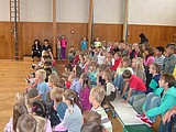 Obrázek v galerii