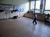 Obrázek v galerii