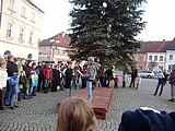 Obrázek v galerii
