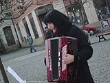 Obrázek v galerii