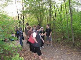 Obrázek v galerii