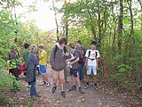 Obrázek v galerii