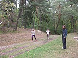 Obrázek v galerii