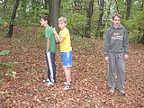 Obrázek v galerii