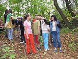Obrázek v galerii