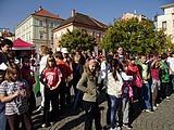 Obrázek v galerii