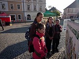 Obrázek v galerii