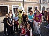 Obrázek v galerii