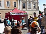 Obrázek v galerii