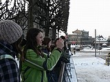 Obrázek v galerii