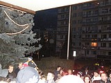 Obrázek v galerii