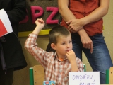 Obrázek v galerii