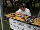 Obrázek v galerii