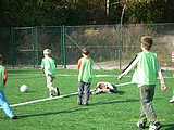 2-6