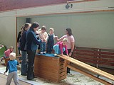 Obrázek v galerii