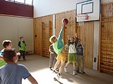 Obrázek v galerii