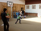 Obrázek v galerii