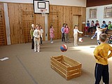 Obrázek v galerii