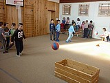 Obrázek v galerii