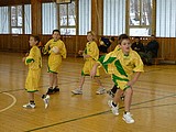 Obrázek v galerii