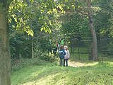 Obrázek v galerii