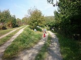 Obrázek v galerii