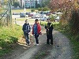 Obrázek v galerii
