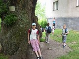 Obrázek v galerii