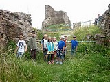 Obrázek v galerii