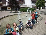 Obrázek v galerii