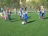 Obrázek v galerii
