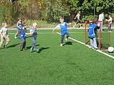Obrázek v galerii