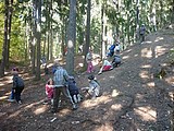 Obrázek v galerii