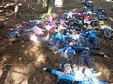 Obrázek v galerii