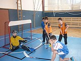 Obrázek v galerii