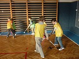Obrázek v galerii