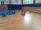 Obrázek v galerii