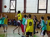 Obrázek v galerii
