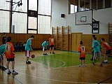 Obrázek v galerii