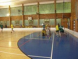 Obrázek v galerii