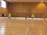 Obrázek v galerii