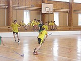 Obrázek v galerii
