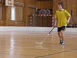 Obrázek v galerii