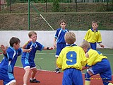 Obrázek v galerii
