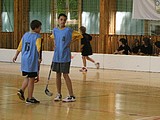 Obrázek v galerii